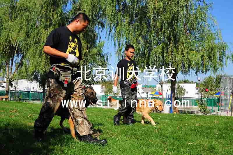 <b>北京宠乐会宠物学校</b>