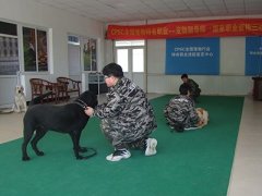 训练中的二三事（一）